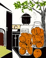 Lovers-Canning-Apricots.v2