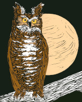 Owl & Moon