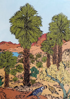 Oasis