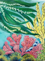 Sea-Plant-1-