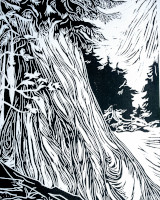Red-Cedar