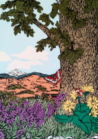 /Rogue-Valley-Oak200
