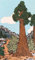 /Sequoia-Trail200
